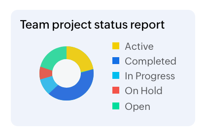 Team project status report